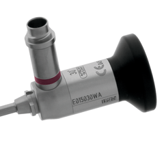 Endoscopes Rigides